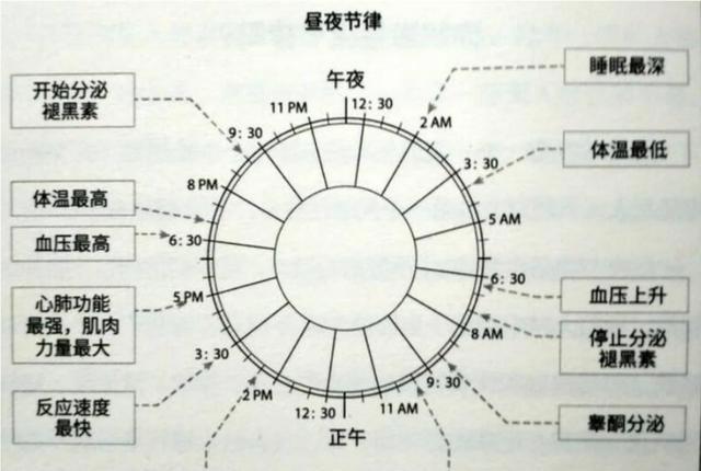 一天中什么时间段锻炼减肥最有效，一天中什么时候锻炼减肥效果最好