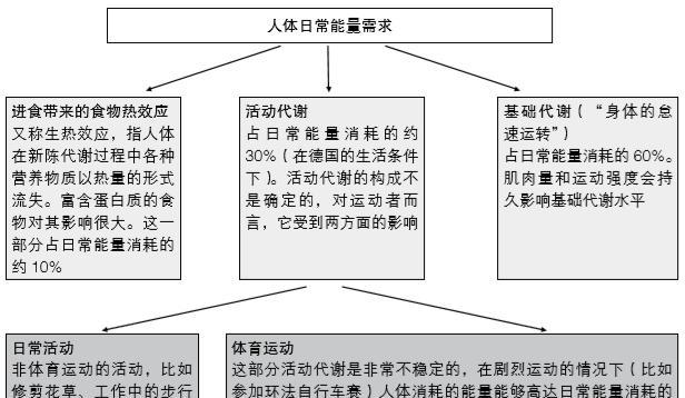 一天中什么时间段锻炼减肥最有效，一天中什么时候锻炼减肥效果最好