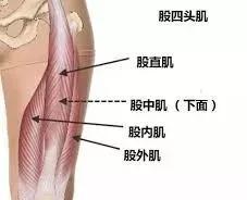 腿部拉筋的正确方法有哪些，腿部拉筋的方法