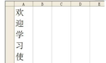 excel文字怎么调成竖向，EXCEL如何设置文字方向为竖排文字怎么调整？