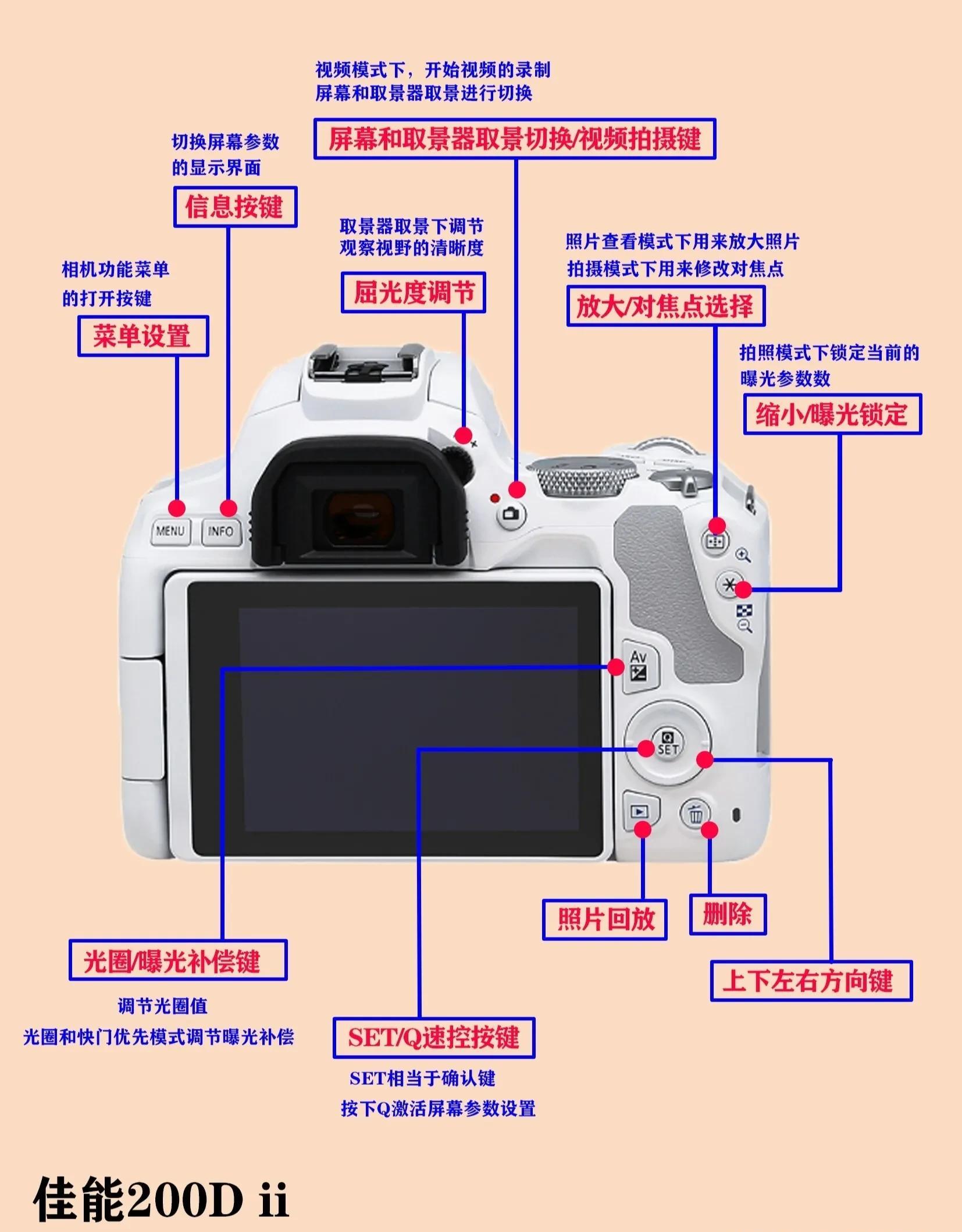 佳能单反教程（佳能单反入门教程）