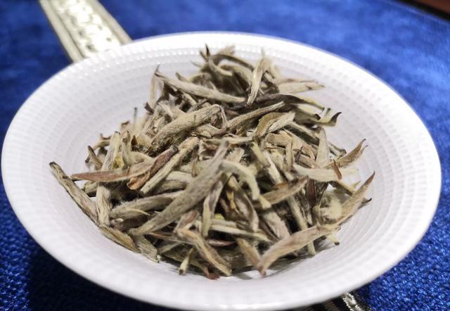 夏天更应该喝茶，夏天喝茶需要注意什么？