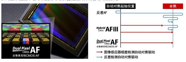 佳能eos 80 d专业单反相机（佳能80d是入门级单反吗）