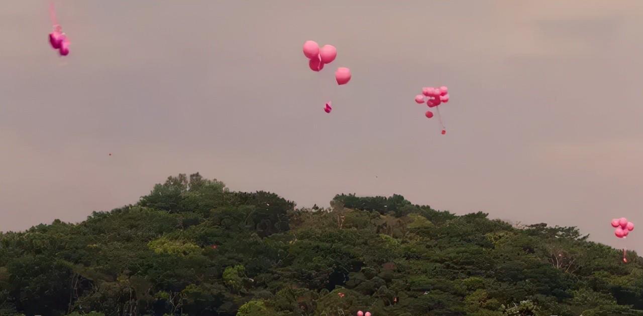 情人节营销活动方案内容（情人节营销策划案）