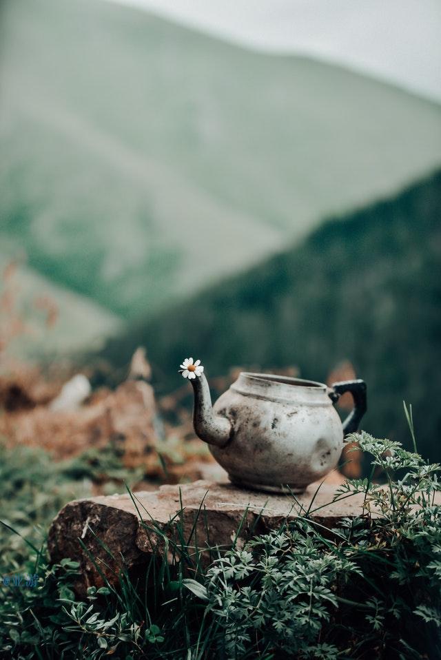 大学生个人职业生涯规划范文（大学生个人职业生涯规划怎么写）