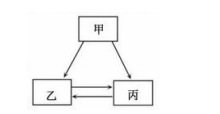 2018年中考化学试题分项版解析汇编：专题6.1 碳单质及其氧化物