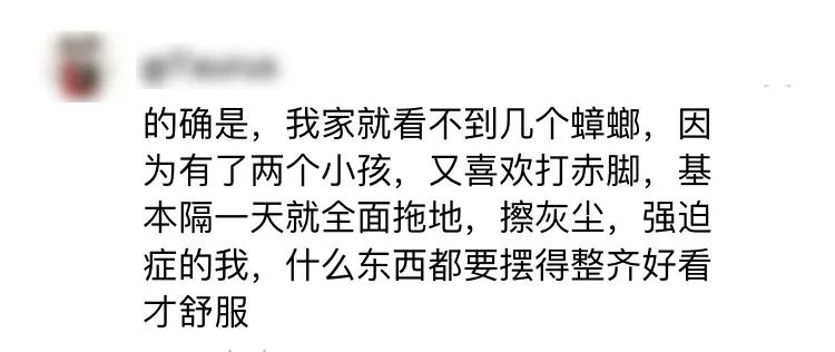 灭蟑螂家用小妙招