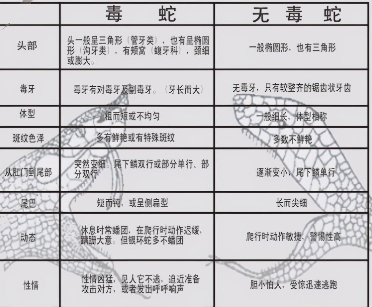 蛇到底怕的什么药