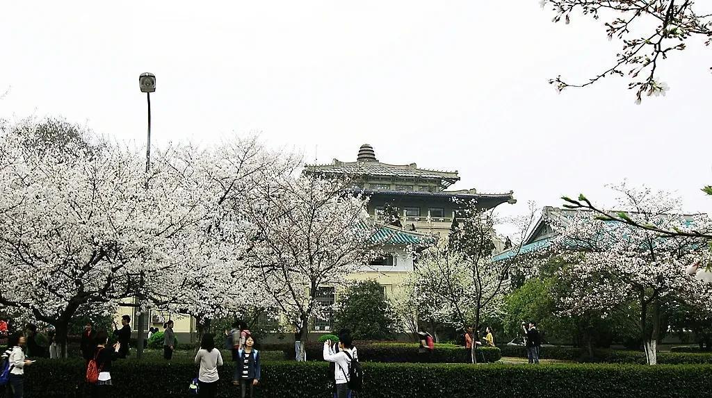 南京大学和武汉大学哪个厉害