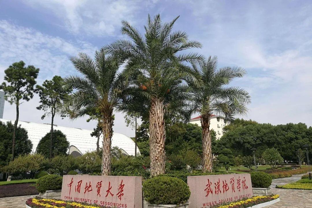 国字类大学推荐