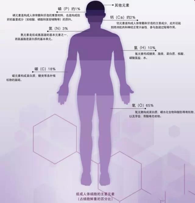 微量元素一般指什么