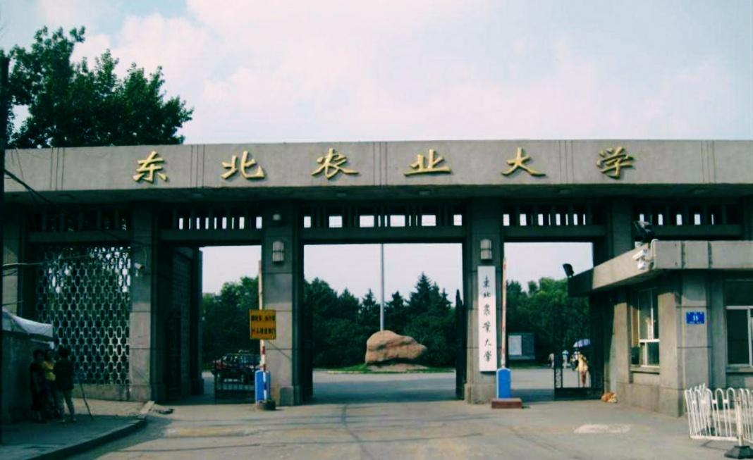 东北农业大学是一所怎么样的大学