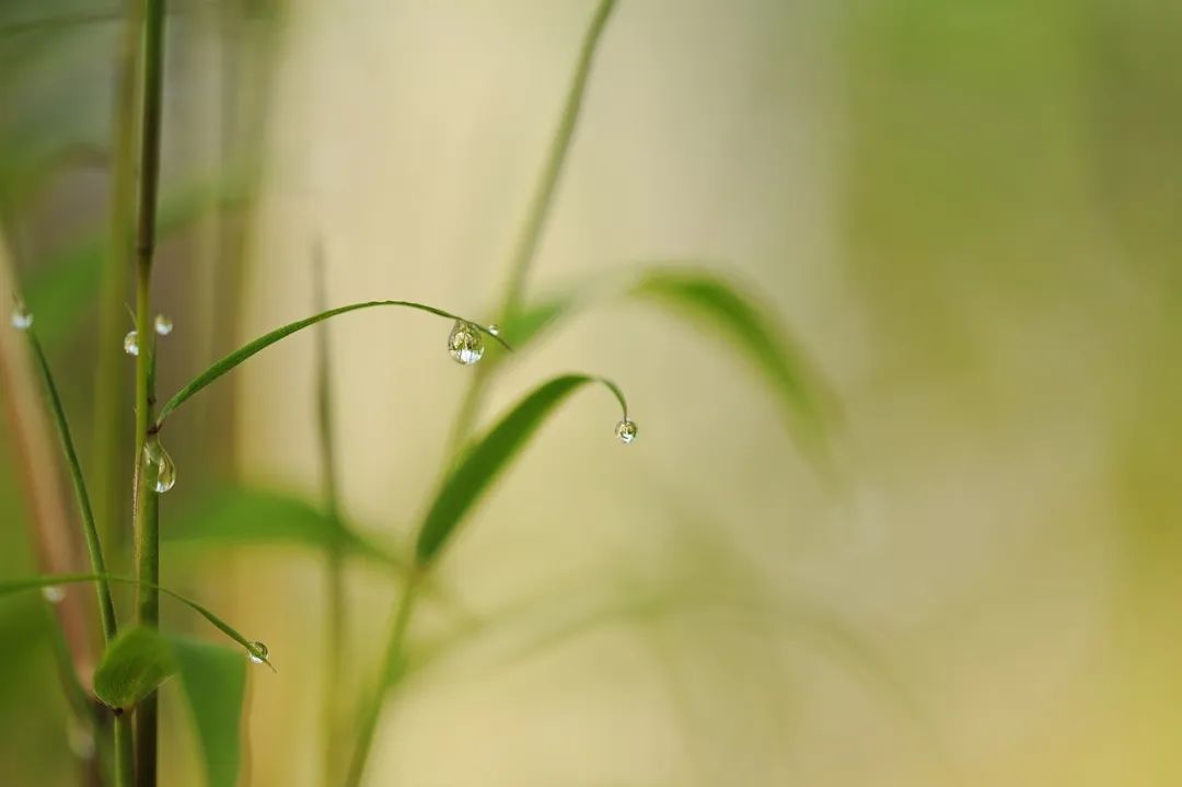 王维最经典的诗词名句