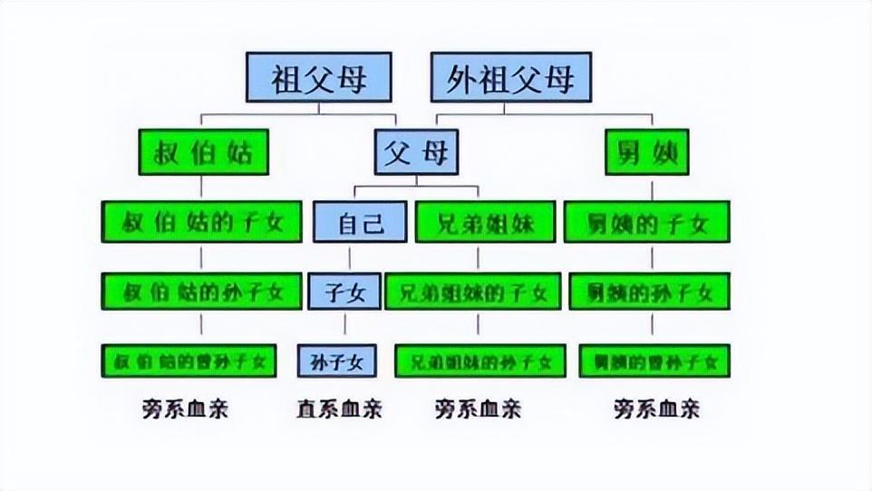 法定的直系亲属范围