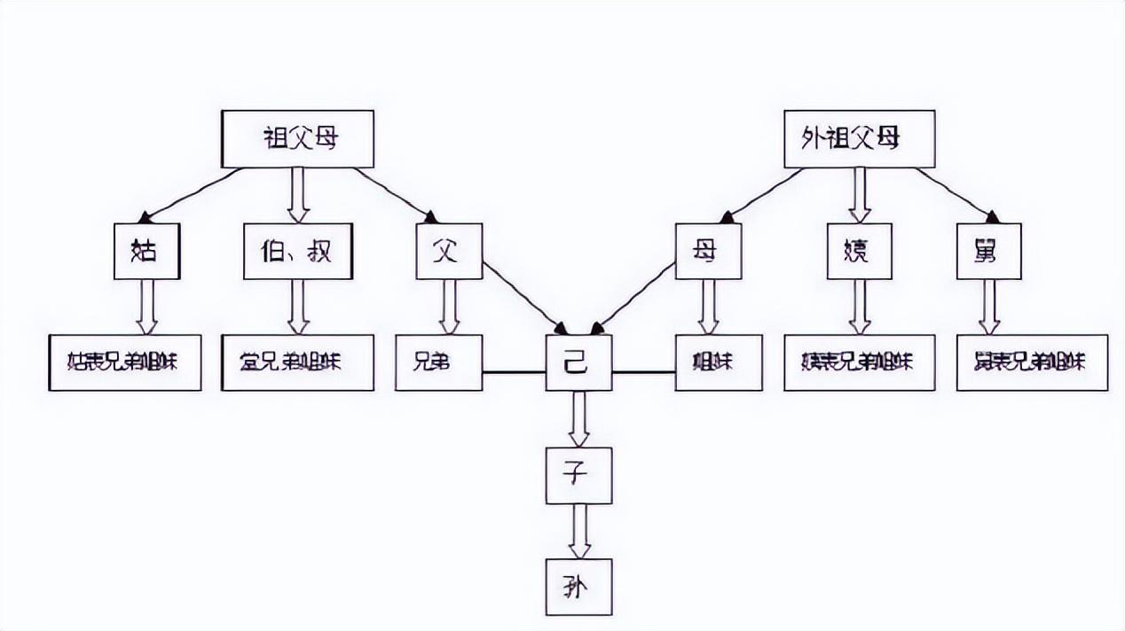 法定的直系亲属范围