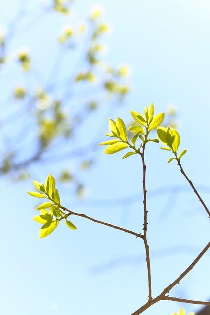 自信的人有什么优点