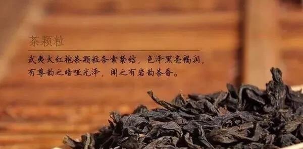 大红袍属于哪一种茶