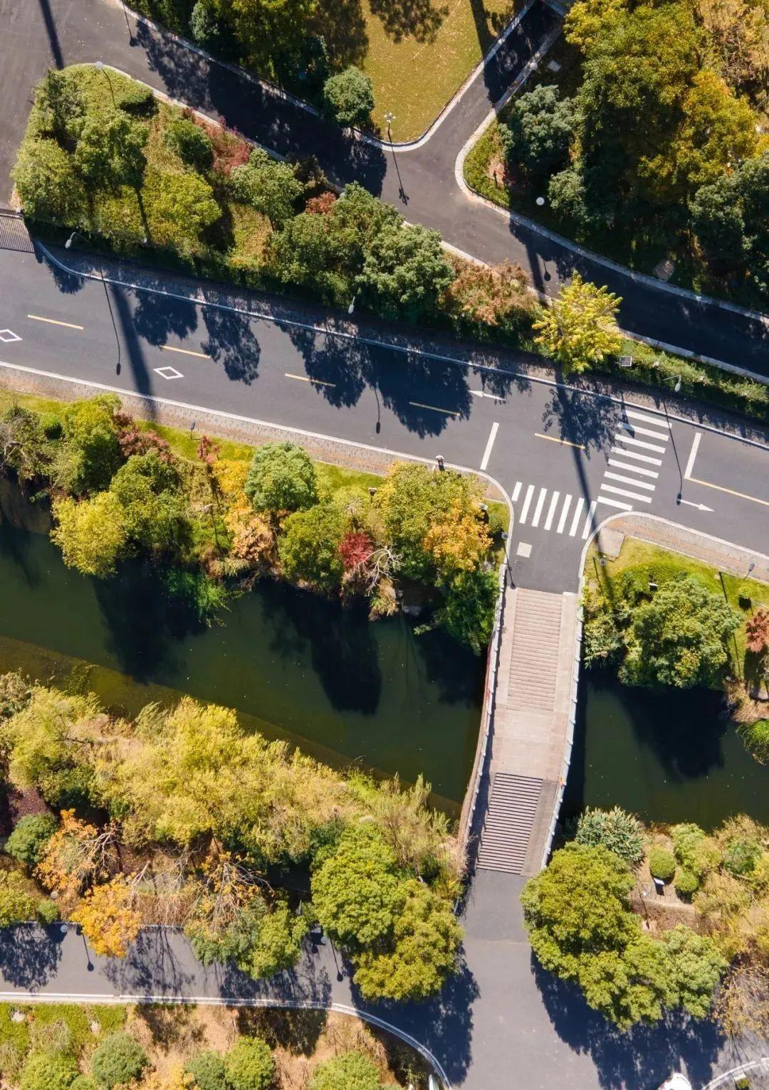 杭州师范大学俯瞰图