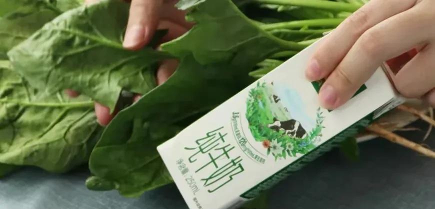 菠菜不能跟什么食物一起吃