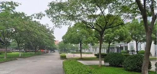 浙江中医药大学怎么样?就业前景