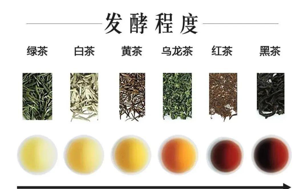 六大茶类的代表名茶有哪些