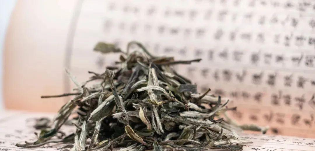 六大茶类的代表名茶有哪些