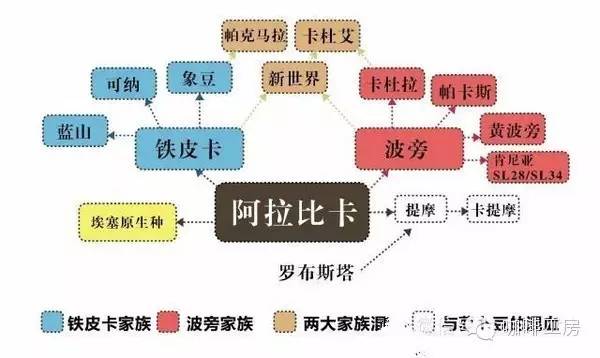 各种单品咖啡介绍