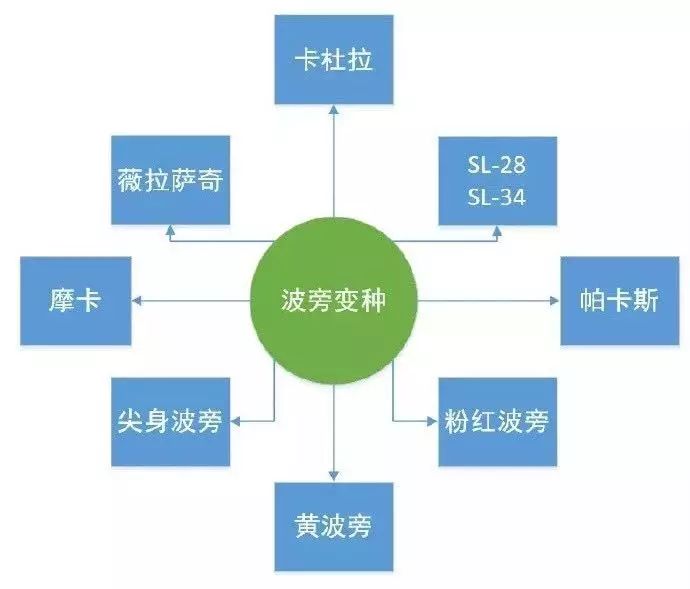 各种单品咖啡介绍