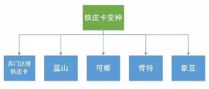 各种单品咖啡介绍