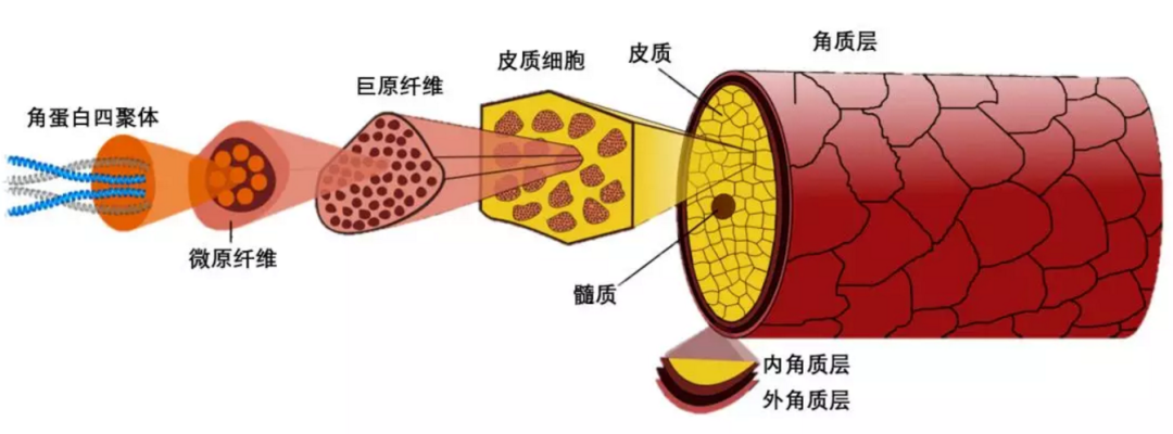 理发店门口的三色柱来历