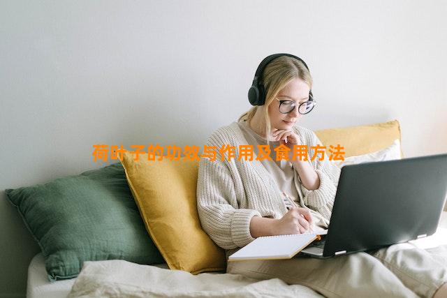 荷叶可以怎么做东西吃