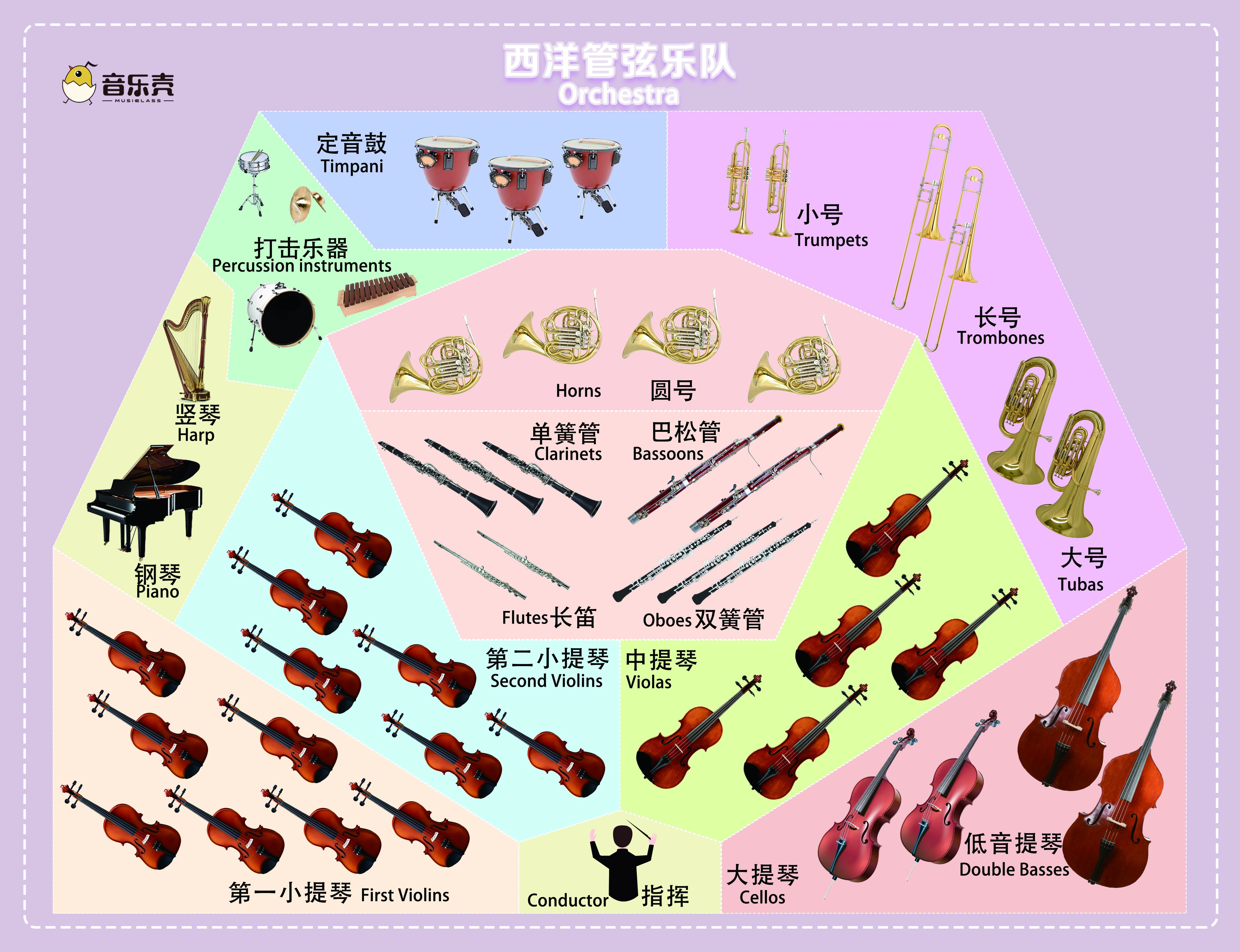 各种乐器大全