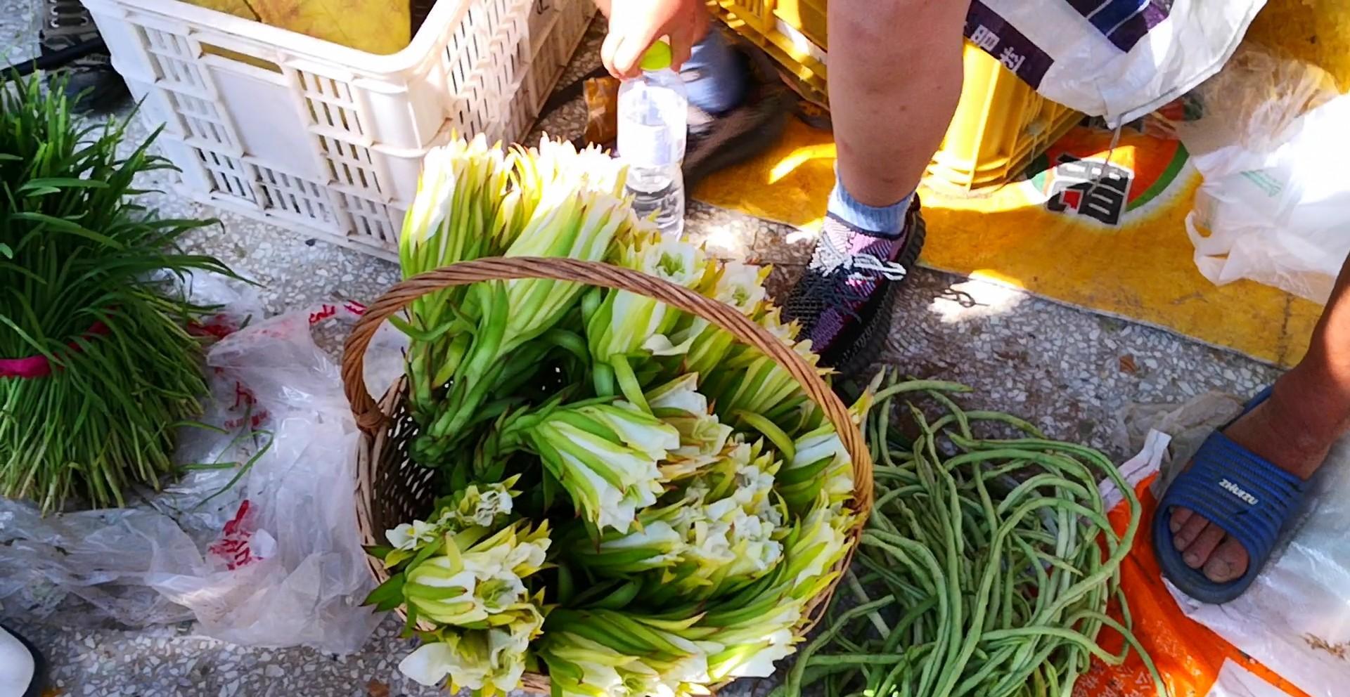 火龙果的花能吃吗?怎么吃