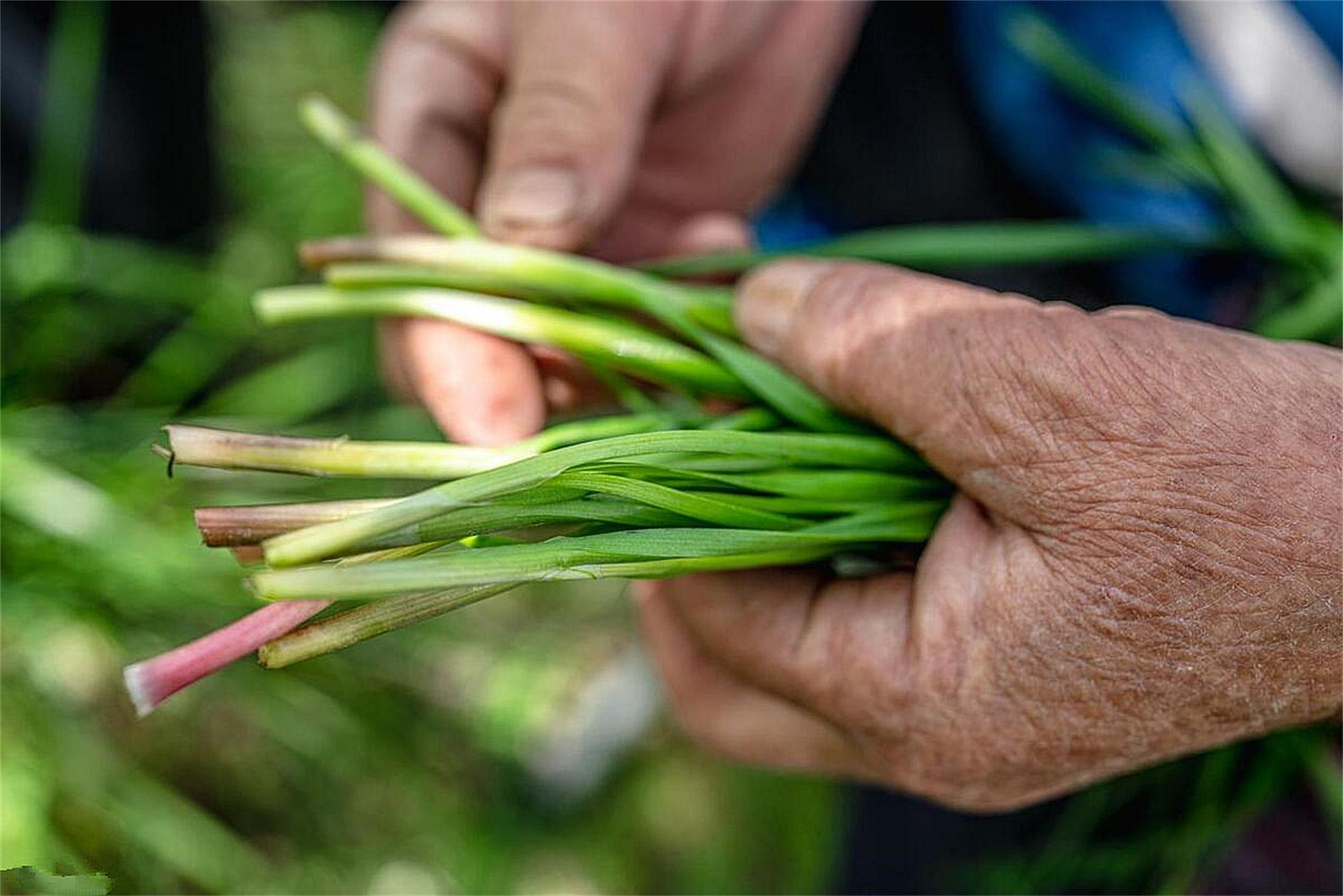 小满食谱推荐