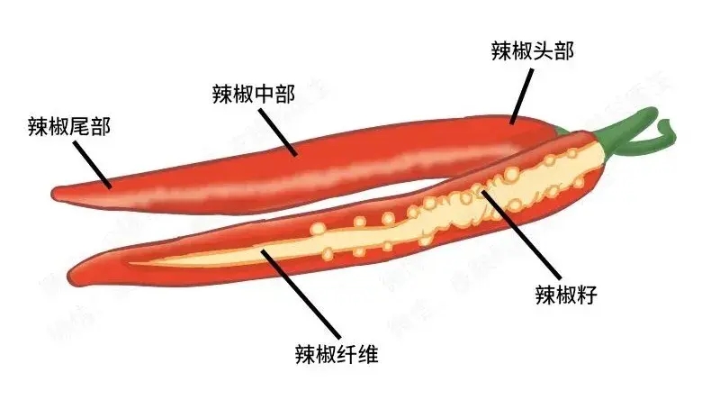 被辣椒辣到手怎么处理能不辣?