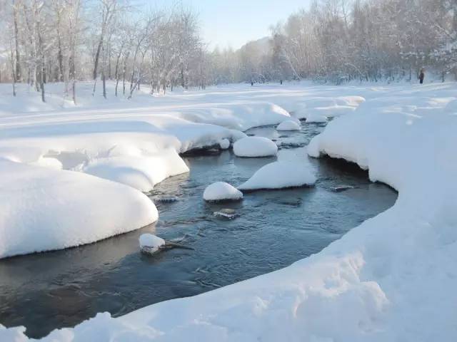 木瓜炖雪蛤的做法