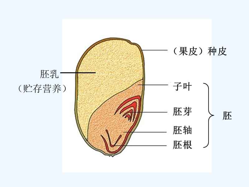 超市里的面粉怎么挑选