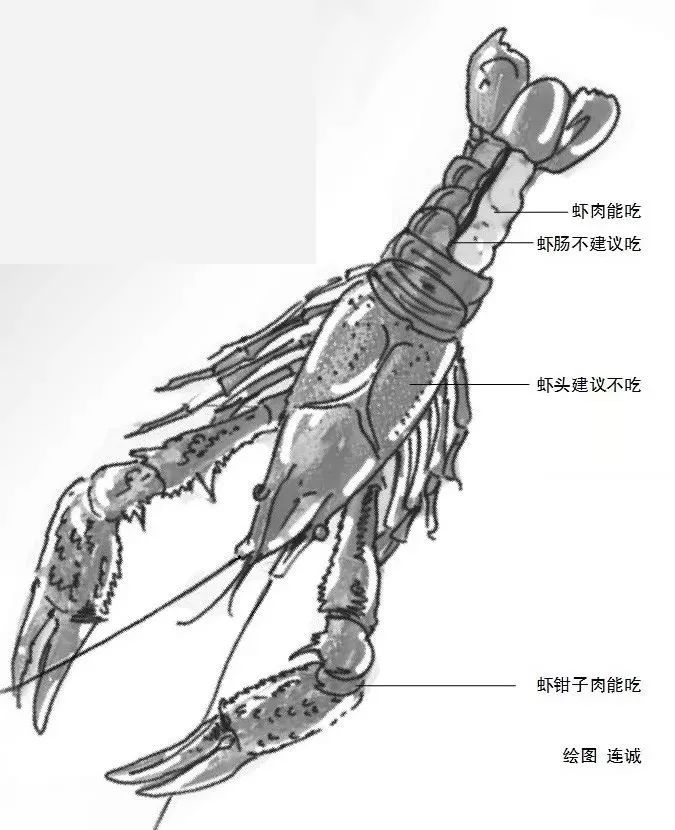 小龙虾是不是不能隔夜吃