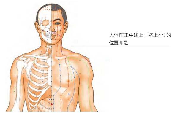 营养不良怎么食疗