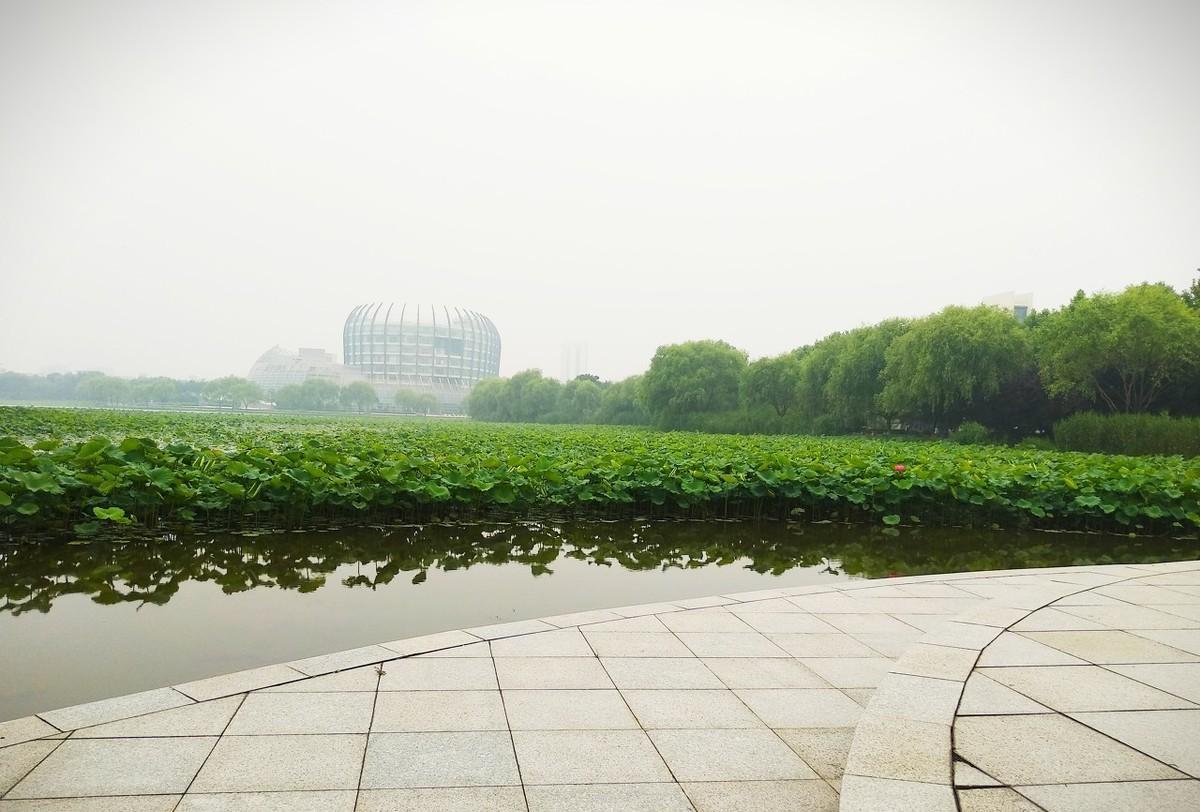 东华大学学校简介