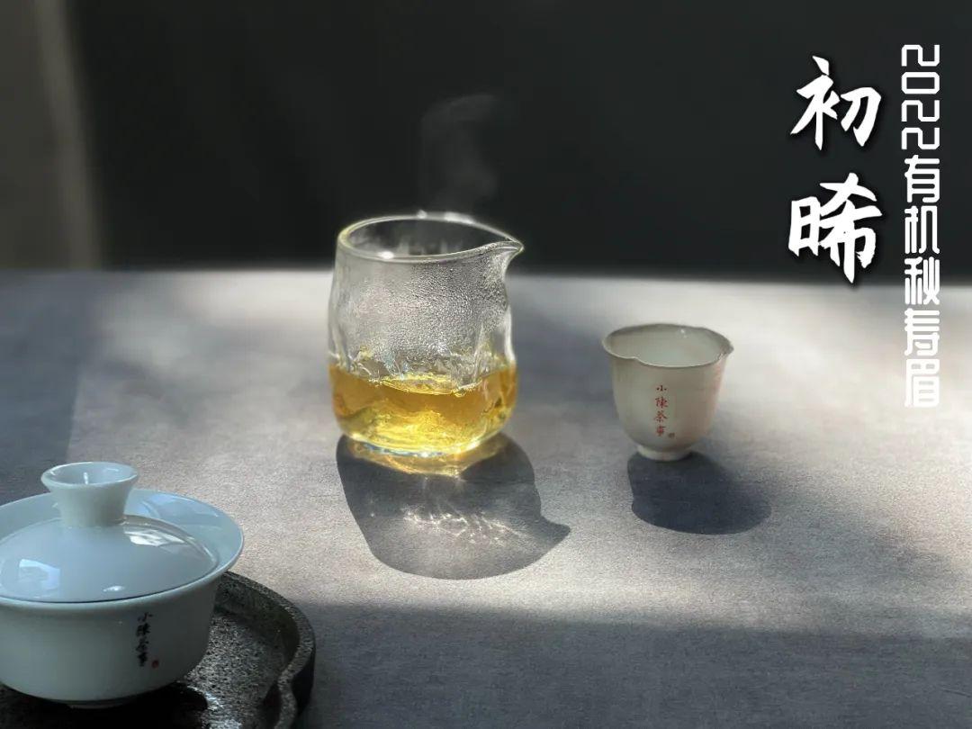 适合秋冬季节喝的茶