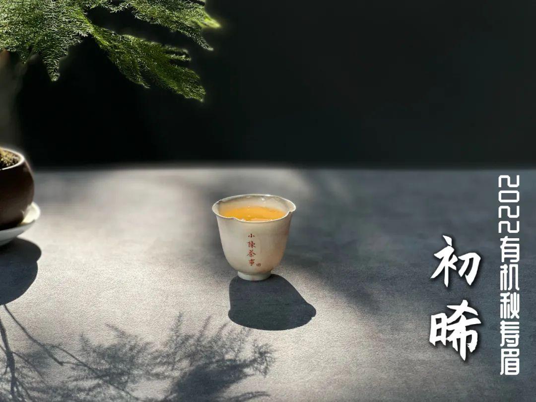 适合秋冬季节喝的茶