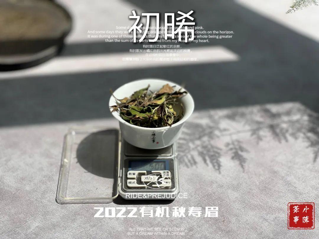 适合秋冬季节喝的茶