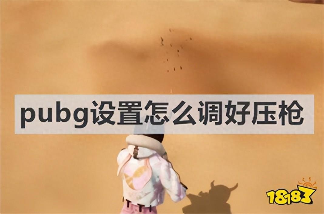 pubg怎么设置最好压枪