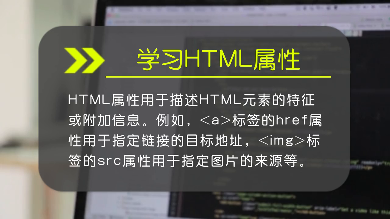 html零基础入门教程