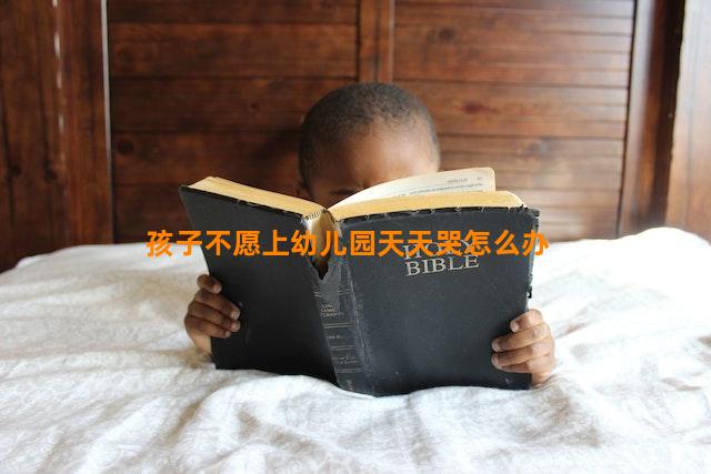 孩子不愿上幼儿园天天哭怎么办