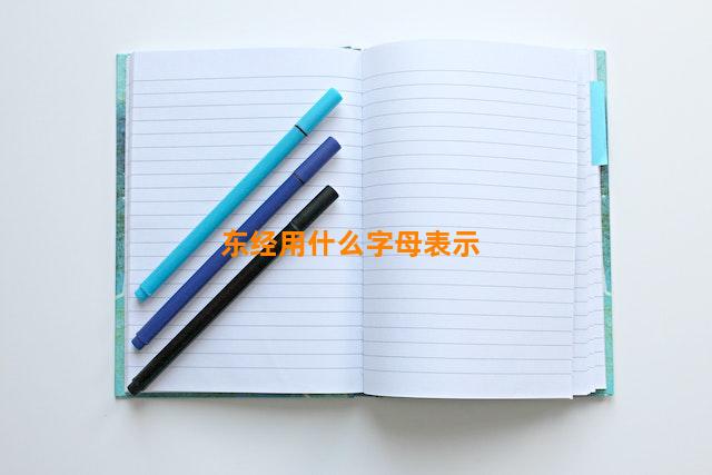 东经用什么字母表示