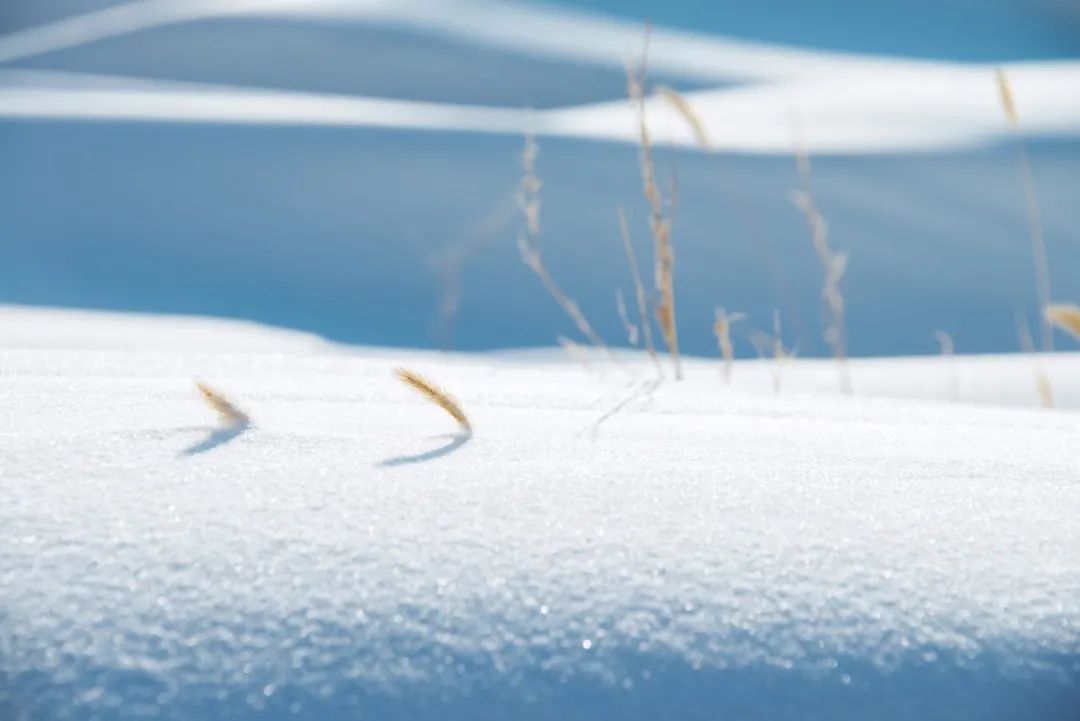 写雪唯美诗句