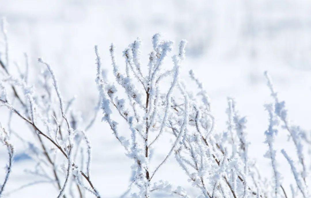 写雪唯美诗句