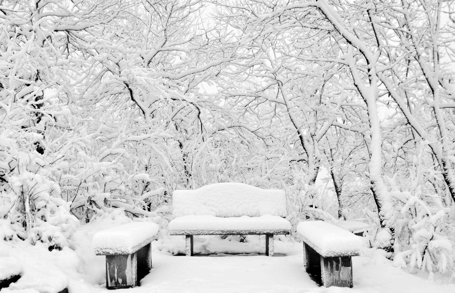 写大雪美景的古诗